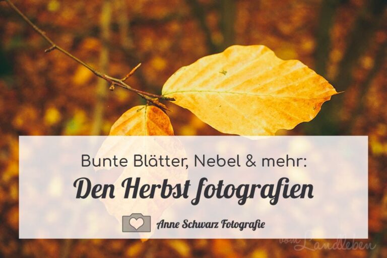Den Herbst fotografieren