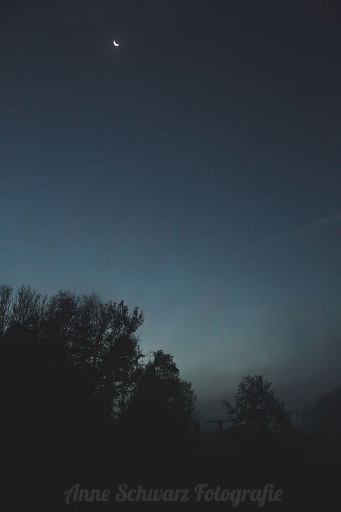 Herbstspaziergang im Nebel