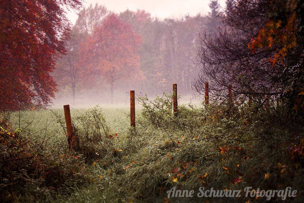 Herbstimpressionen