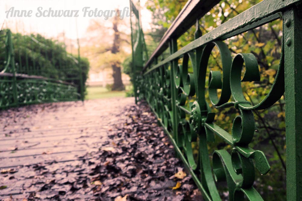 Herbstimpressionen - Schloss Morsbroich in Leverkusen