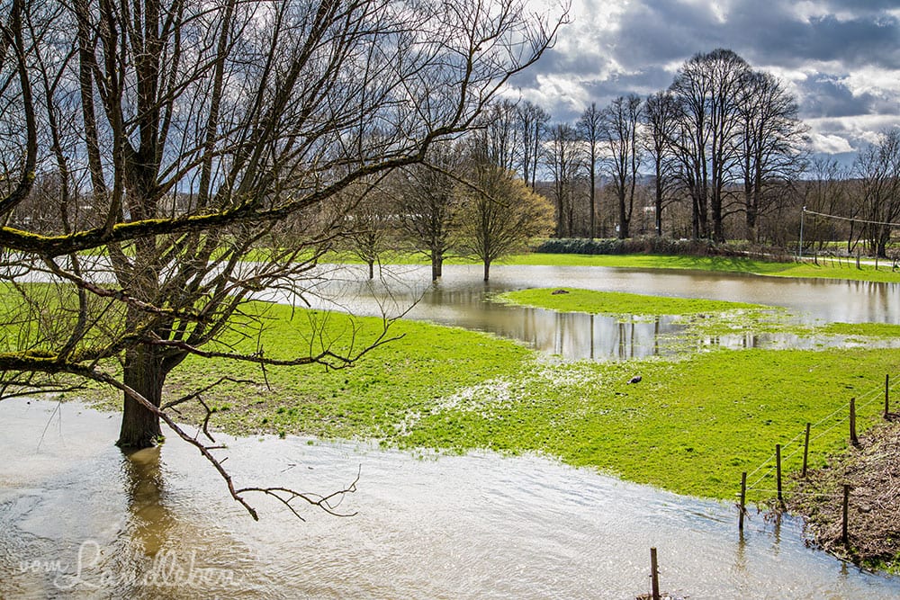 Hochwasser an der Sieg