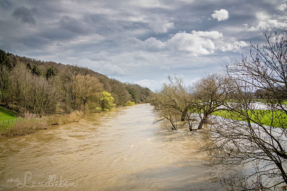 Hochwasser an der Sieg