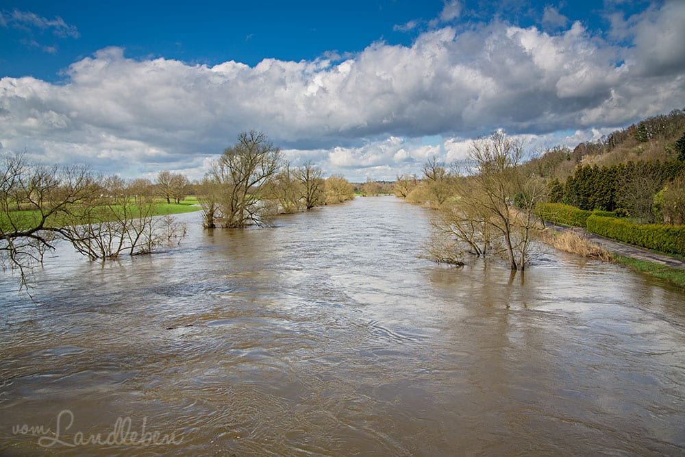 Hochwasser an der Sieg