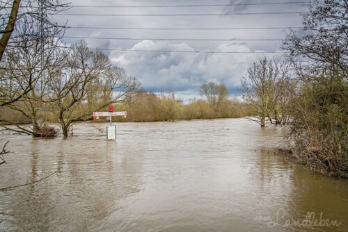 Hochwasser an der Sieg