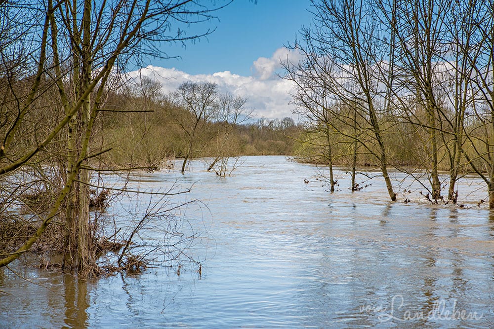 Hochwasser an der Sieg