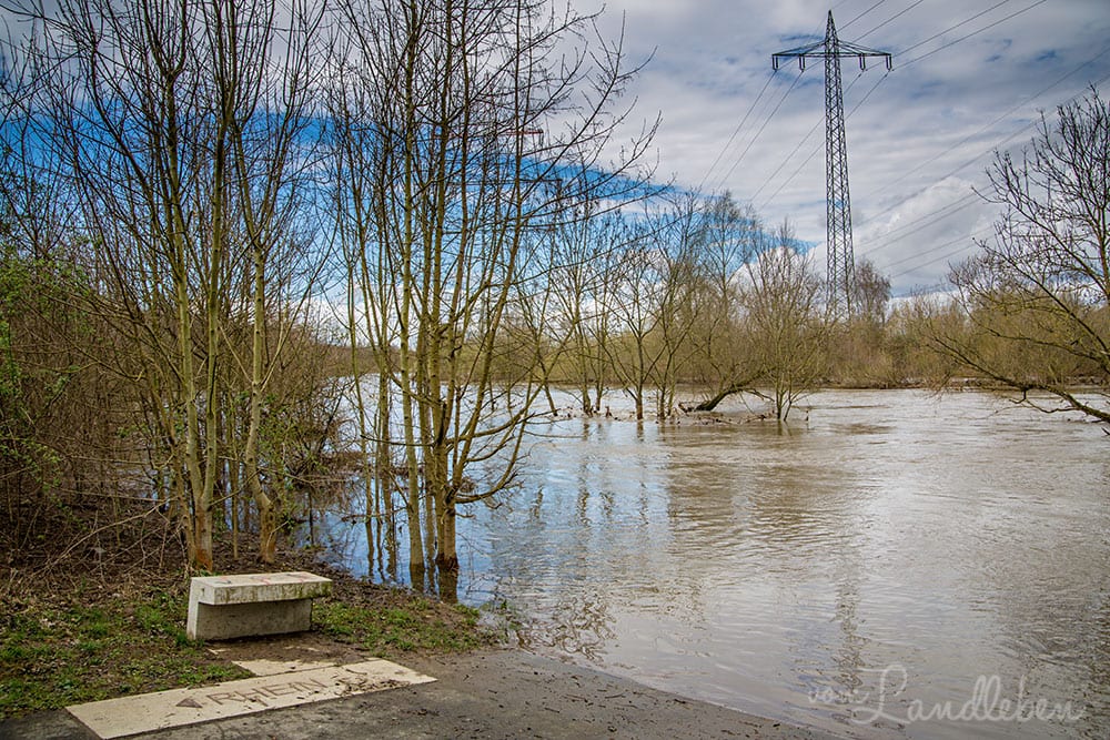 Hochwasser an der Sieg