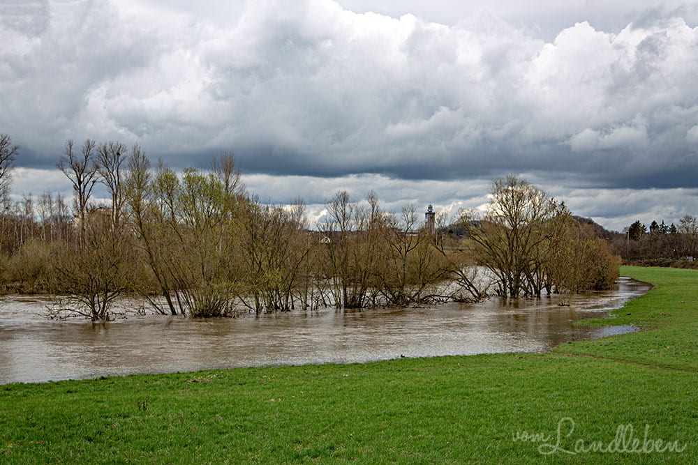 Hochwasser an der Sieg