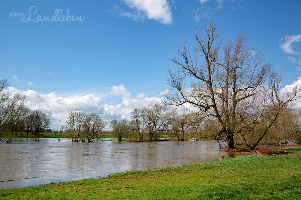 Hochwasser an der Sieg