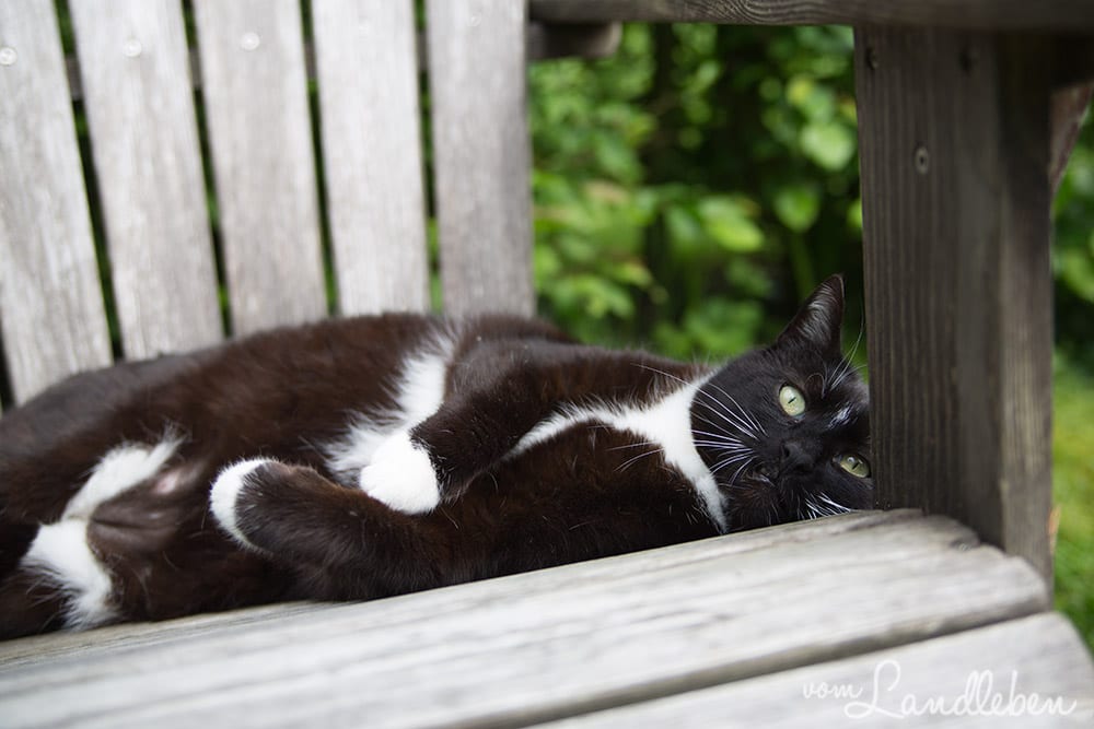 Hof Tüschenbonnen - ein Garten im Bergischen Land