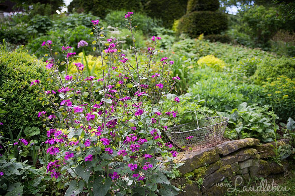Hof Tüschenbonnen - ein Garten im Bergischen Land