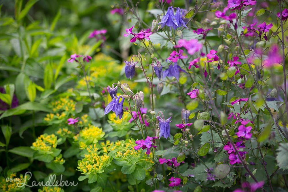 Hof Tüschenbonnen - ein Garten im Bergischen Land