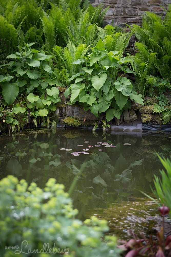 Hof Tüschenbonnen - ein Garten im Bergischen Land