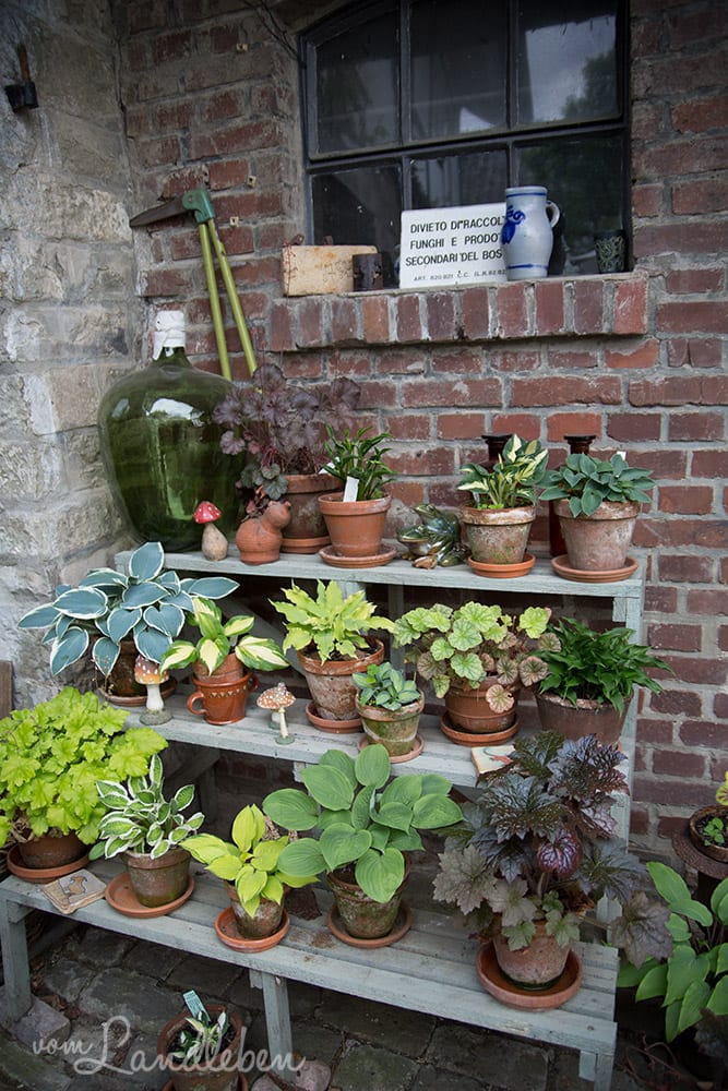 Hof Tüschenbonnen - ein Garten im Bergischen Land