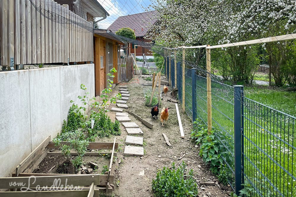 Bauen im Hühnergarten