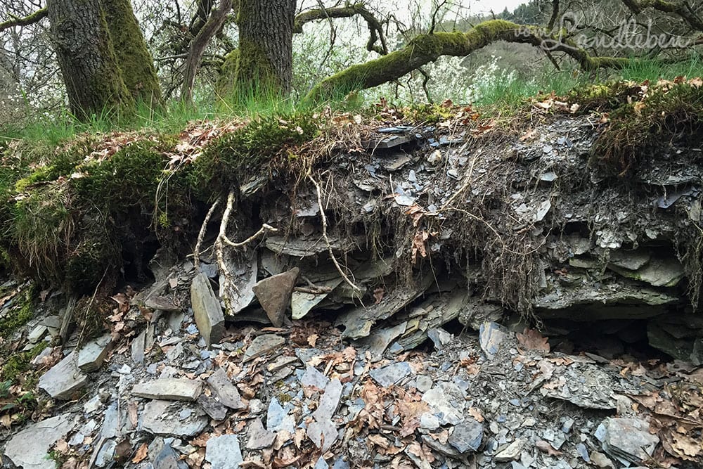 Wandern im Hunsrück