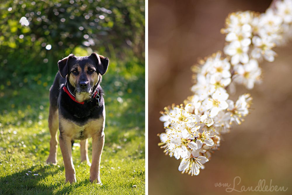 Wandern im Hunsrück
