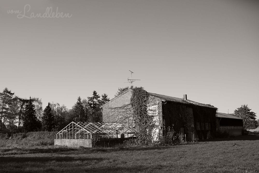 Lost Places - Immerath