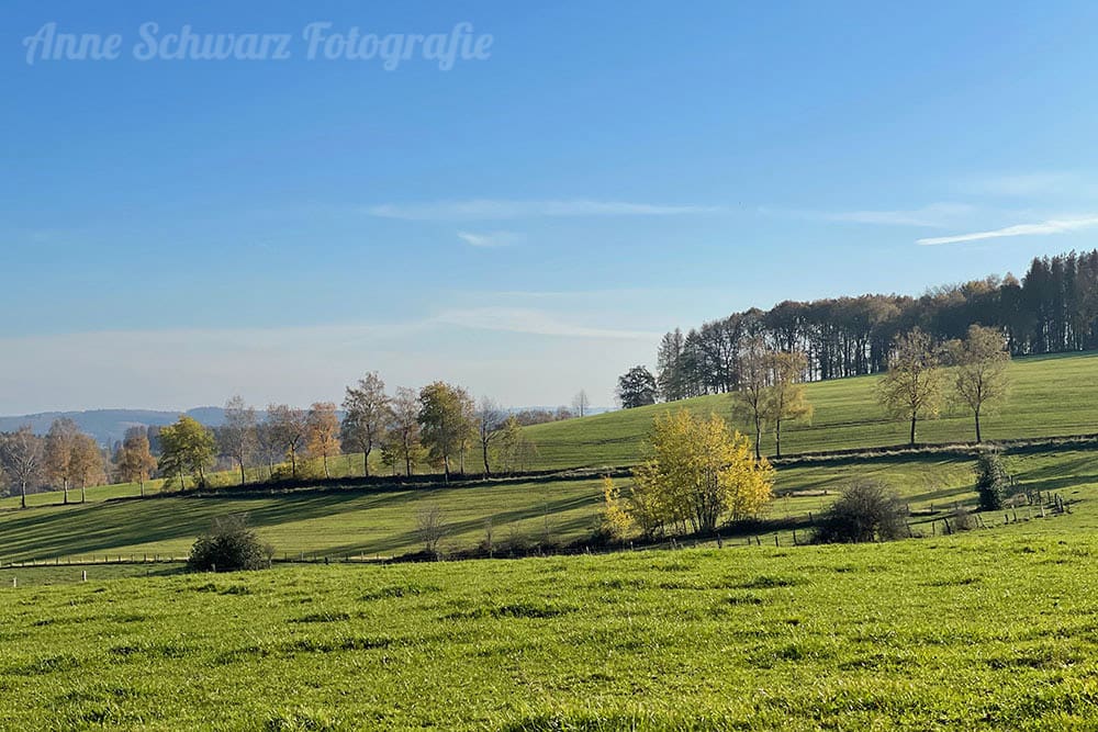 Fotos mit dem iPhone 12 Pro - Landschaft