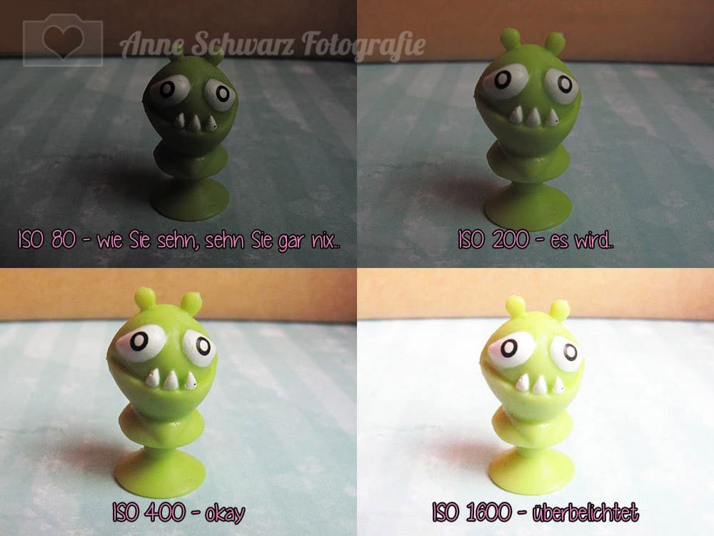 Fotografie-Tutorial: ISO-Zahl einstellen