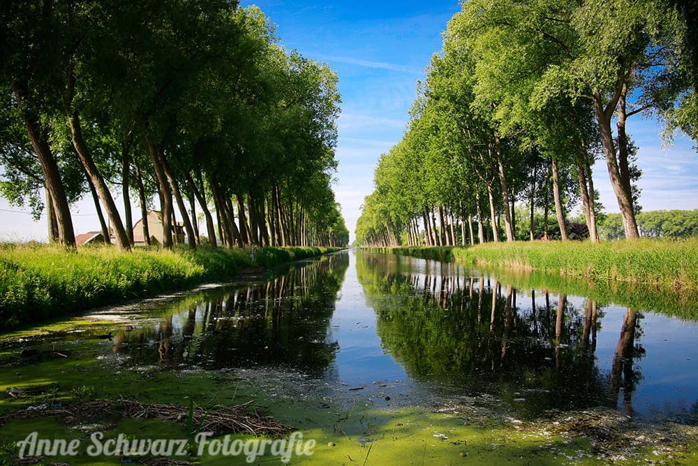Kanal bei Damme