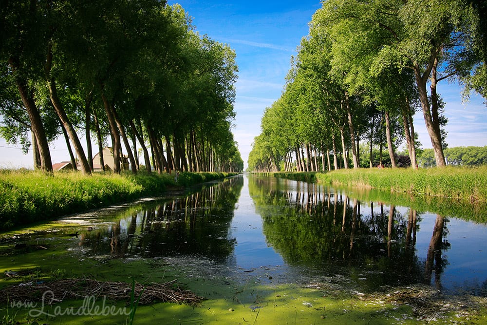 Kanal bei Damme