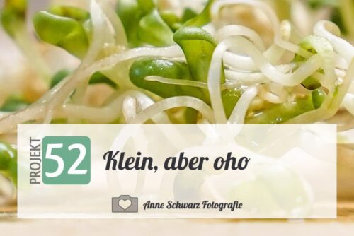 Projekt 52 – Keimsprossen – Klein, aber oho