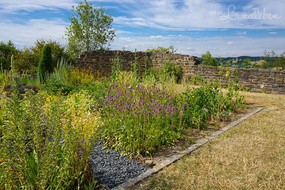 Kräutergarten – Burggarten Blankenberg