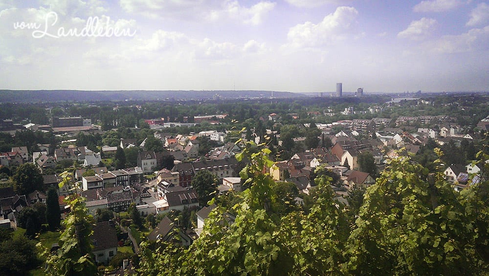 Le Petit Médoc 2013