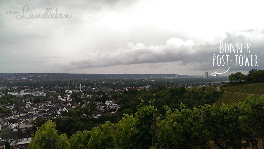 Le Petit Médoc 2014