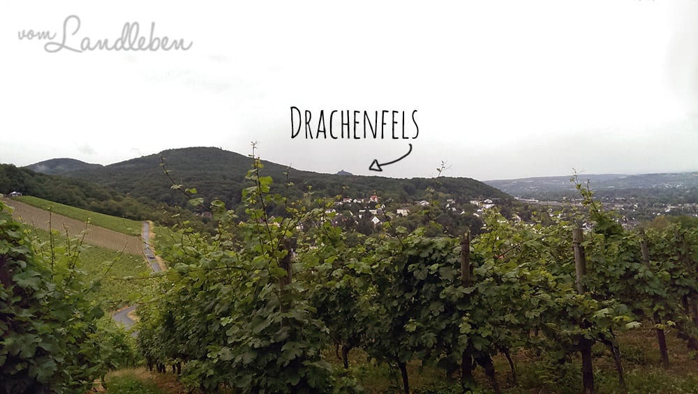 Le Petit Médoc 2014