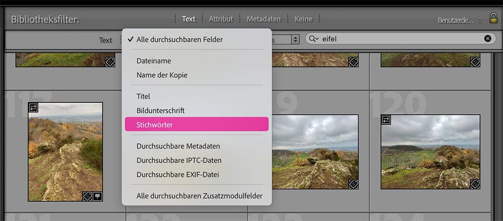 Bibliotheksfilter in Lightroom