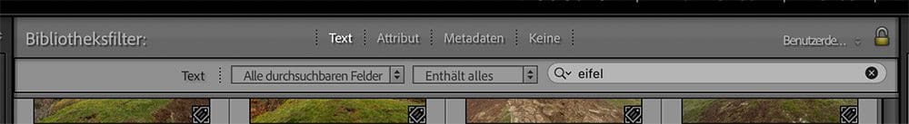 Bibliotheksfilter in Lightroom