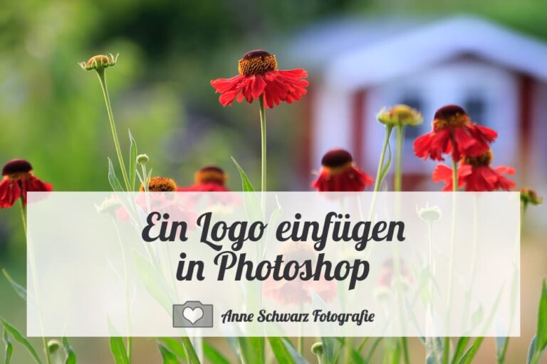 Logo als Pinsel einfügen in Photoshop