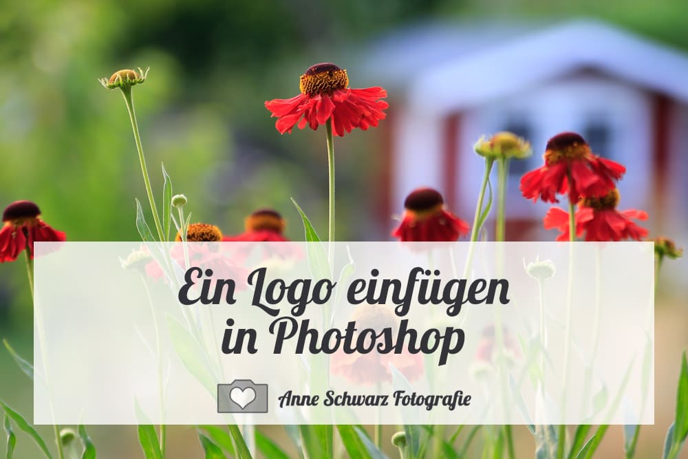 Logo als Pinsel einfügen in Photoshop