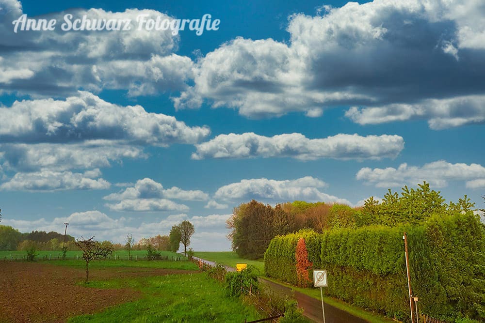 Luminar im Test - Bildbearbeitung Regenbogen