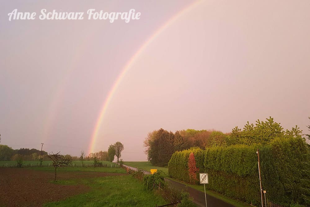 Luminar im Test - Bildbearbeitung Regenbogen