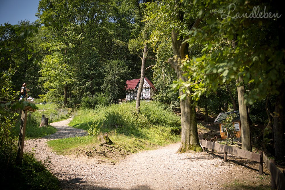 Märchenwald Altenberg
