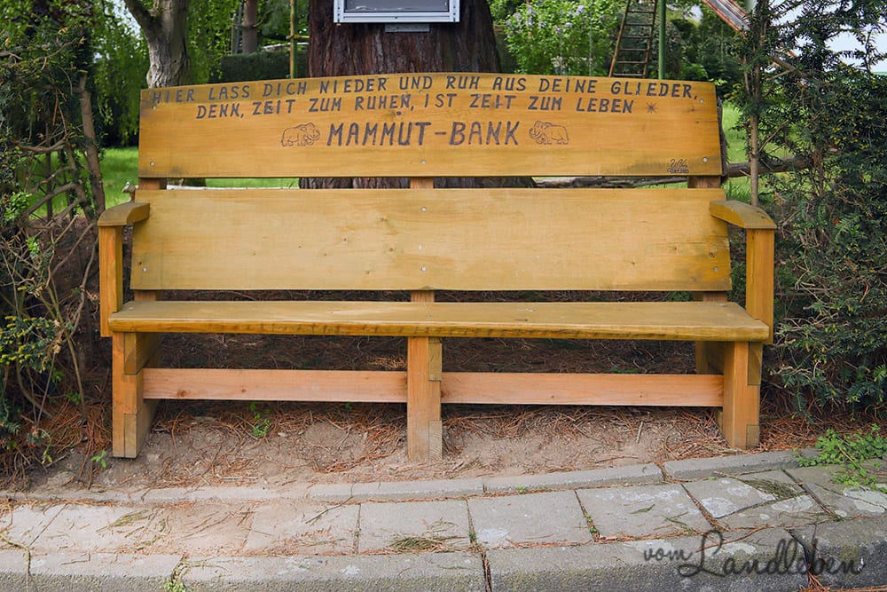 Mammut-Bank in Seelscheid-Hausen