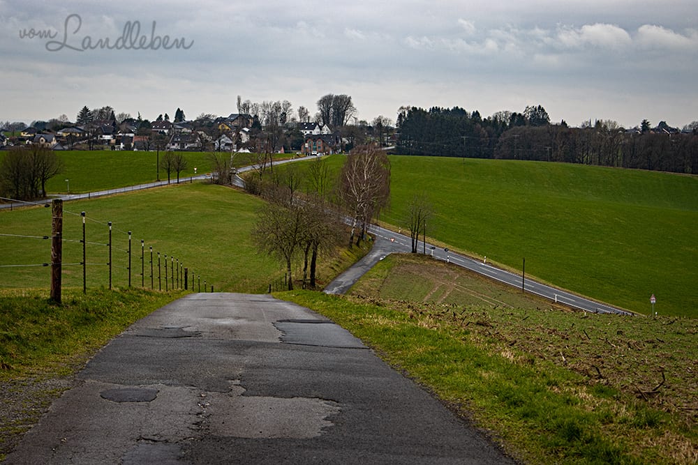 Wandern im Naafbachtal