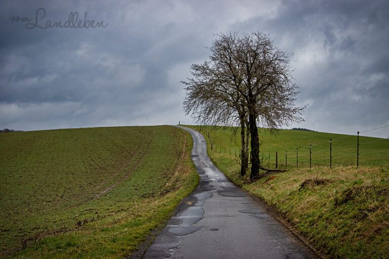 Wandern im Naafbachtal