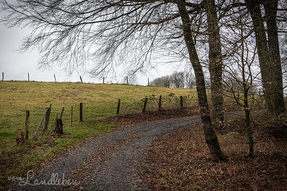 Wandern im Naafbachtal