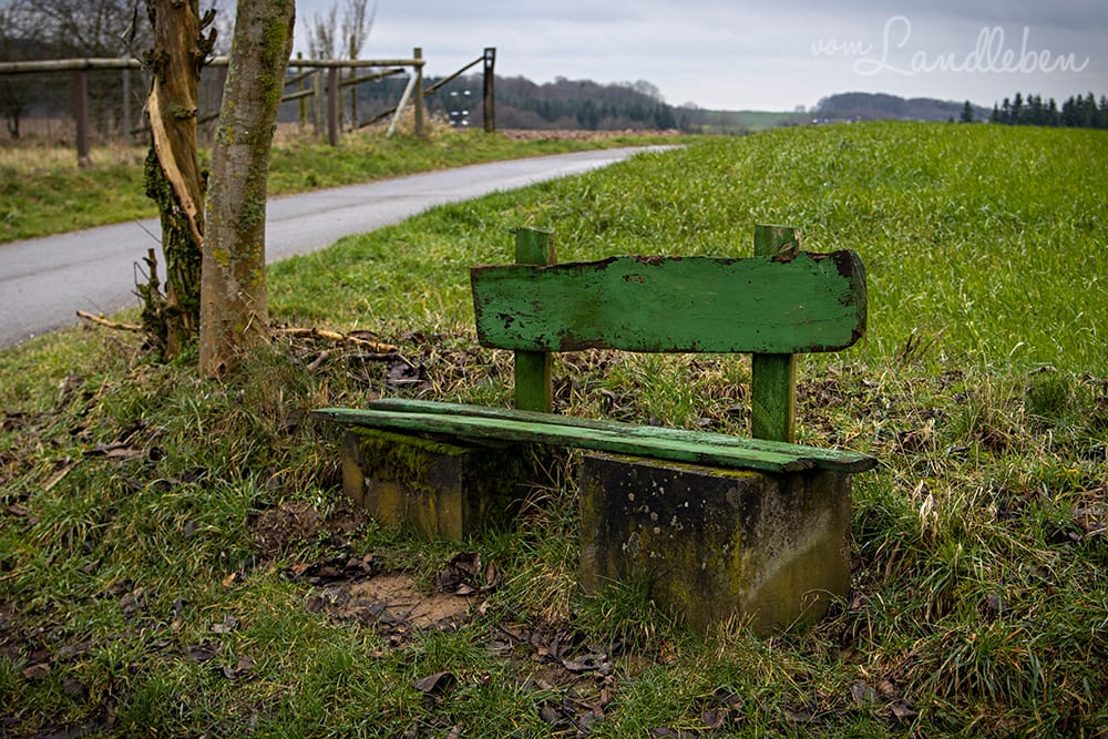Wandern ums Naafbachtal