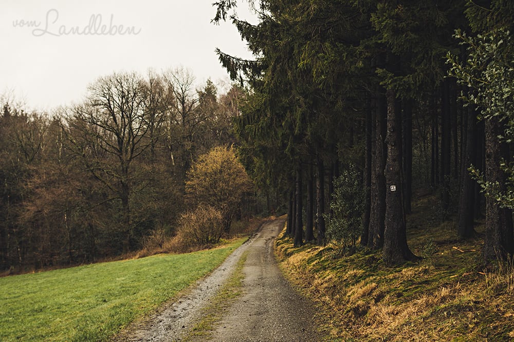 Wandern im Naafbachtal