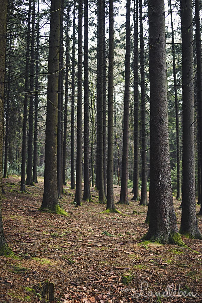 Wandern im Naafbachtal