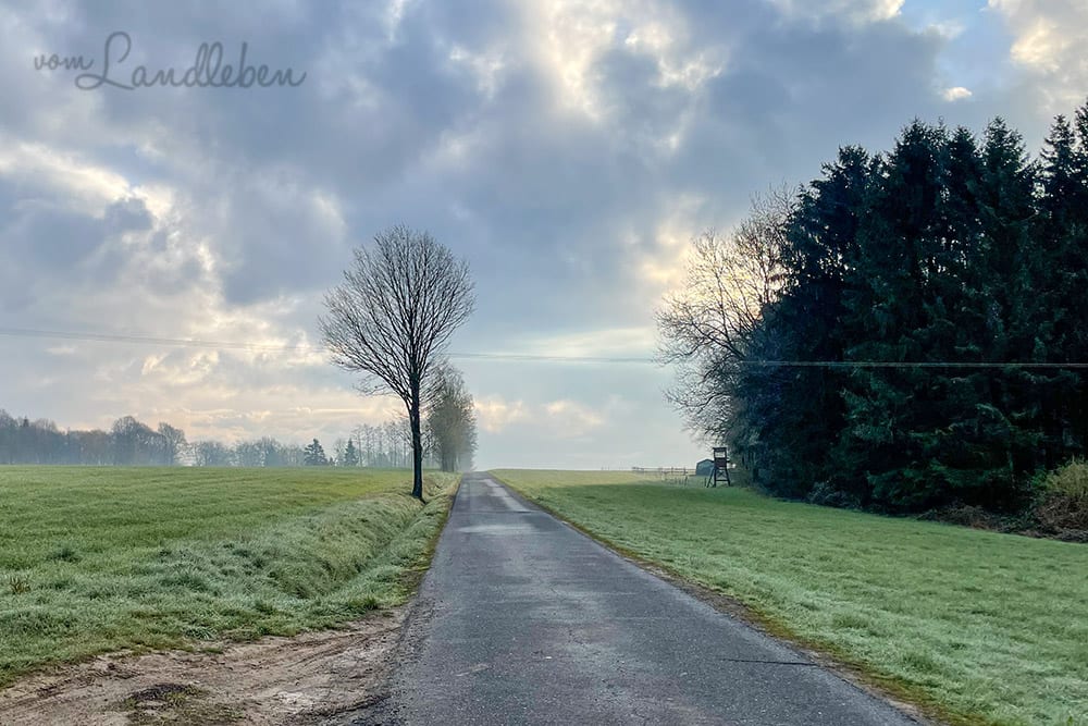 Spazierengehen mit Nala