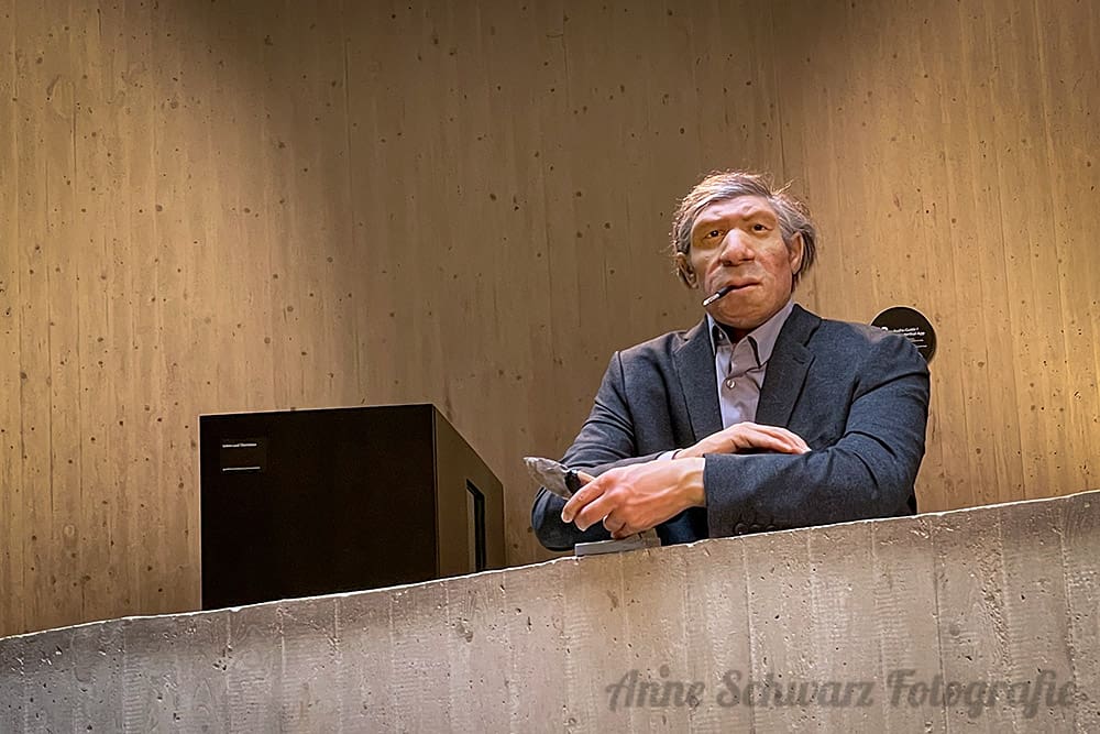 Im Neanderthal-Museum