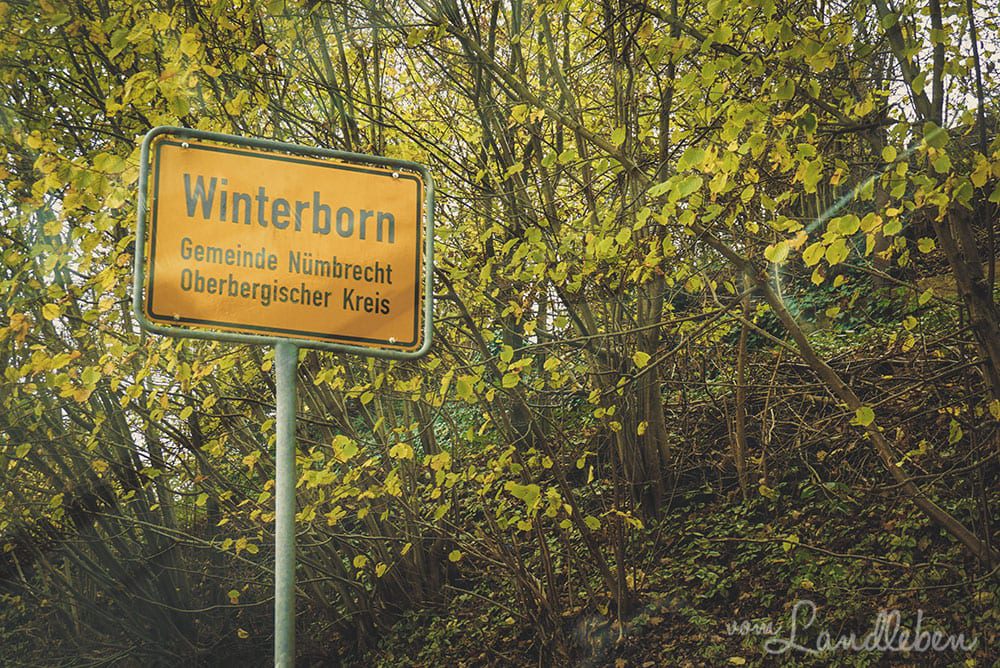 Winterborn - Nümbrecht