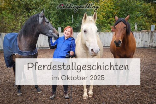 Pferdestallgeschichten Oktober 2025