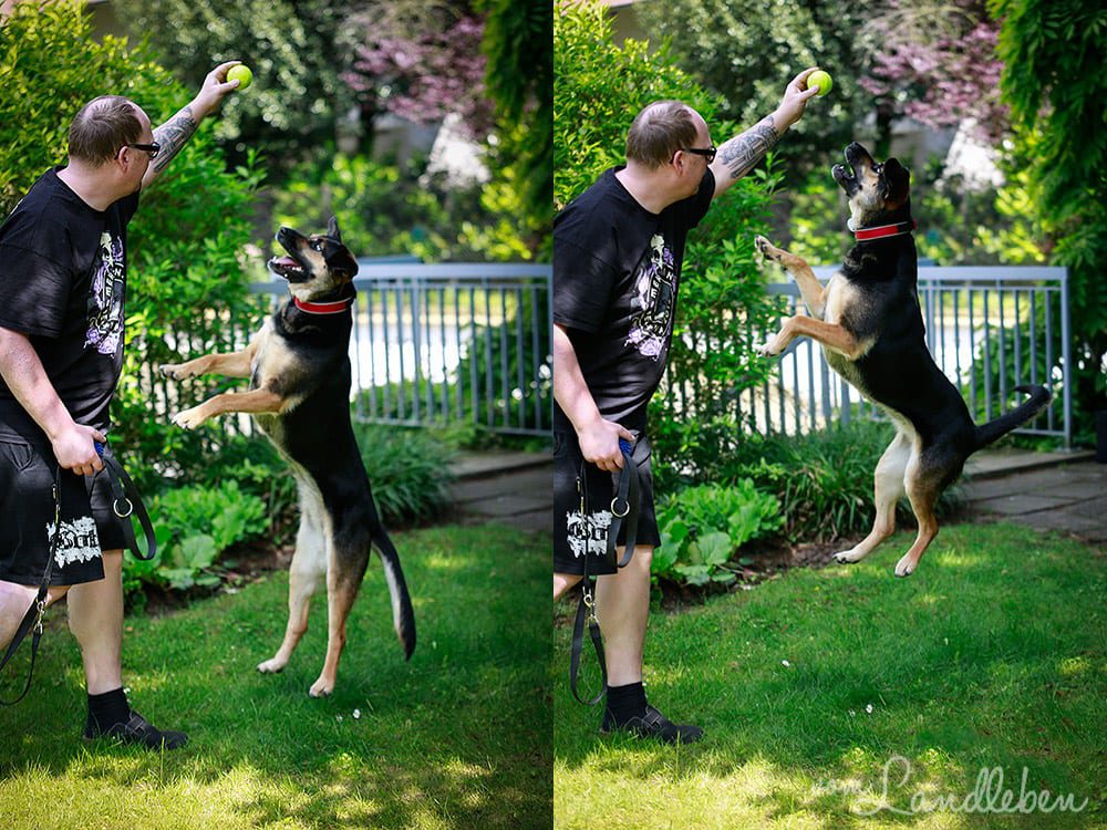 Nala im Garten (Mai 2013)