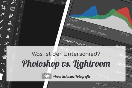 Photoshop vs. Lightroom – was ist der Unterschied?